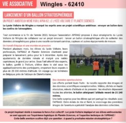 Article Wingles Action